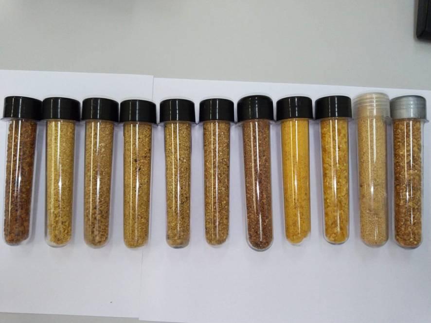 Grãos Secos de Destilaria com Solúveis (DDGS)